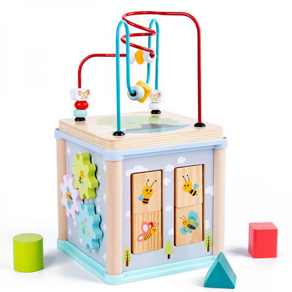 Activity  Cube