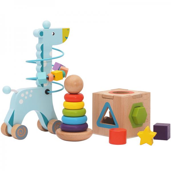 3-In-1 Educational Toy